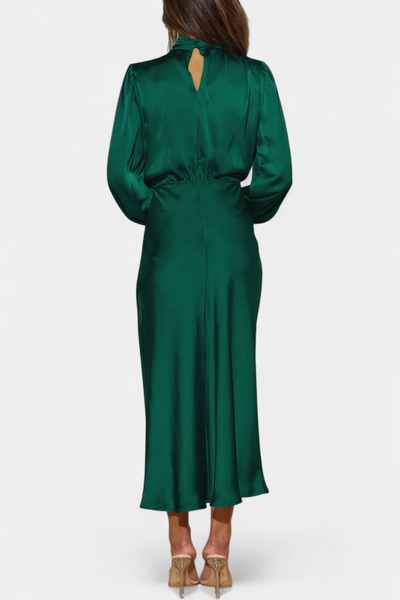 Cecila Maxi Dress with High Neck and Floral Detail