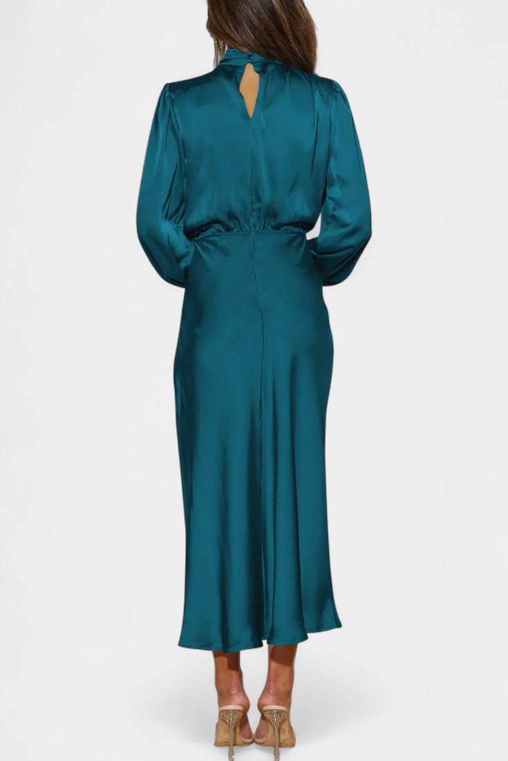 Cecila Maxi Dress with High Neck and Floral Detail